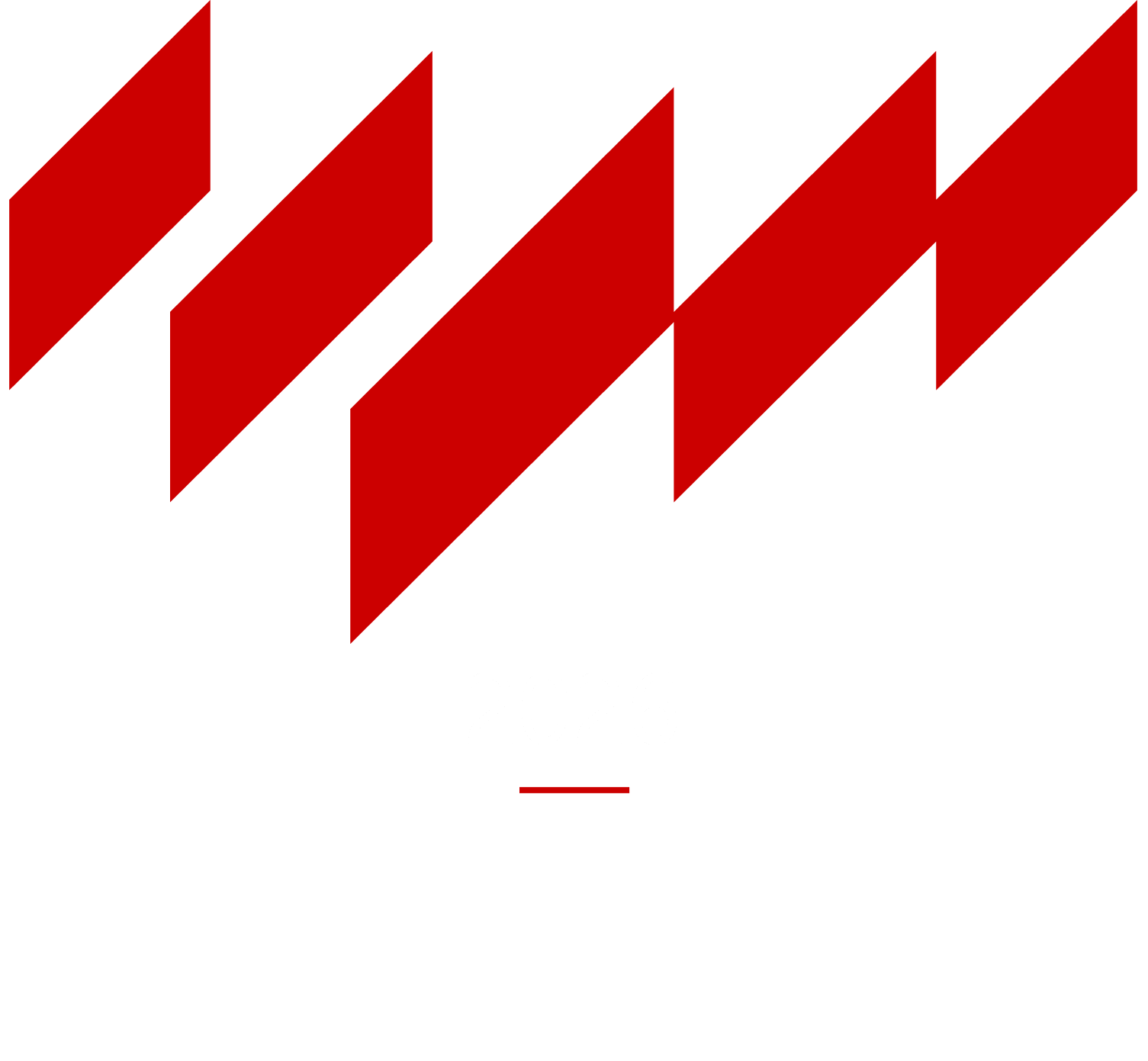 Shoqata e Audituesve të Jashtëm Publik — Association of External Public Auditors